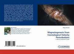 Magnetogenesis from Cosmological Velocity Perturbations - Elmardi, Maye