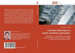 Cover Centrales électriques à cycles combinés gaz/vapeur