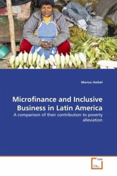 Microfinance and Inclusive Business in Latin America - Haibel, Marius