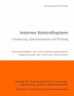Internes Kontrollsystem - Umsetzung, Dokumentation und Prüfung - Paschke, Krzysztof