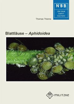 Blattläuse - Aphidoidea - Thieme, Thomas