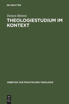 Theologiestudium im Kontext - Meireis, Torsten