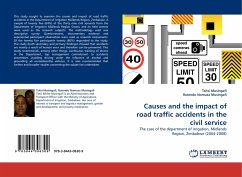 Causes and the impact of road traffic accidents in the civil service - Musingafi, Tsitsi;Nomusa Musingafi, Rutendo