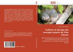 Collecte et élevage des escargots géants de Côte d'Ivoire