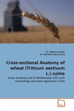 Cross-sectional Anatomy of wheat (Triticum aestivum L.) culms