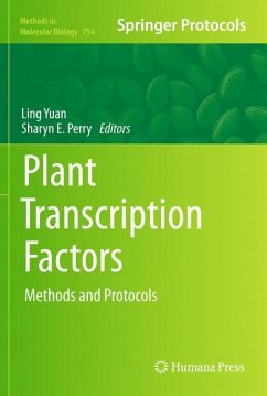 Plant Transcription Factors