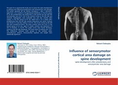 Influence of sensorymotor cortical area damage on spine development - Chaloupka, Richard