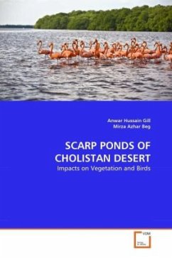 SCARP PONDS OF CHOLISTAN DESERT