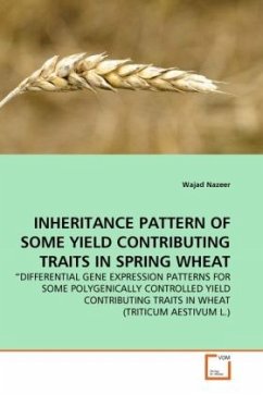 INHERITANCE PATTERN OF SOME YIELD CONTRIBUTING TRAITS IN SPRING WHEAT