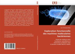 Exploration fonctionnelle des machines moléculaires bactériennes - Meile, Jean-Christophe