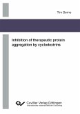 Inhibition of therapeutic protein aggregation by cyclodextrins