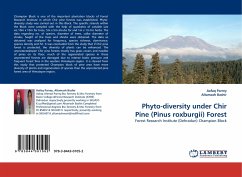 Phyto-diversity under Chir Pine (Pinus roxburgii) Forest - Parrey, Aafaq;Bashir, Altamash