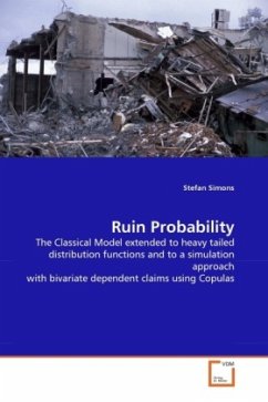 Ruin Probability - Simons, Stefan