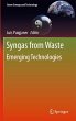 Syngas from Waste - Bild 1