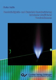 Geschwindigkeits- und Skalarfeld-Charakterisierung turbulenter stratifizierter Vormischflammen - Seffrin, Florian