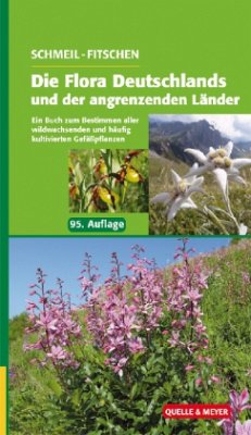 Die Flora Deutschlands und der angrenzenden Länder - Schmeil, Otto; Fitschen, Jost