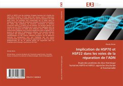 Implication de HSP70 et HSP22 dans les voies de la réparation de l''ADN - Rénier, Wendy