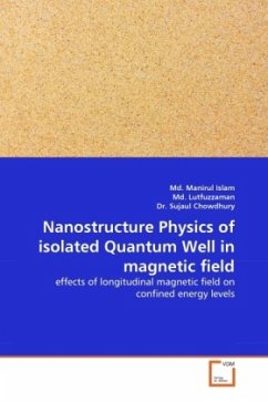 Nanostructure Physics of isolated Quantum Well in magnetic field