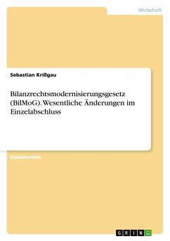 Bilanzrechtsmodernisierungsgesetz (BilMoG). Wesentliche Änderungen im Einzelabschluss - Krißgau, Sebastian