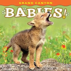 Grand Canyon Babies! - Husar, Lisa