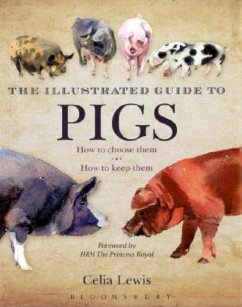 The Illustrated Guide to Pigs - Lewis, Celia