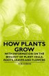 How Plants Grow - With Information on... - Bild 1