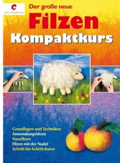 Cover Der große neue Filzen-Kompaktkurs