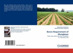 Boron Requirement of Mungbean - Naeem, Muhammad Asif;Aamer Maqsood, Muhammad