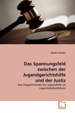 Das Spannungsfeld zwischen der Jugendgerichtshilfe und der Justiz - Somlev, Martin