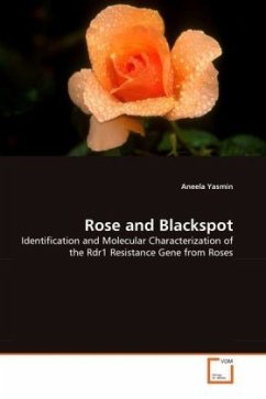 Rose and Blackspot - Yasmin, Aneela