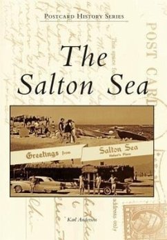The Salton Sea - Anderson, Karl