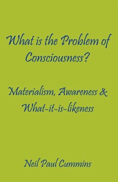 What is the Problem of Consciousness?