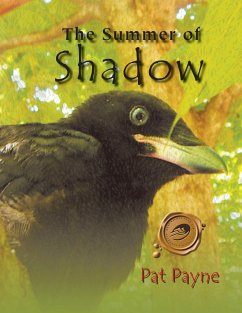 The Summer of Shadow - Payne, Pat