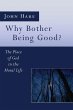 Why Bother Being Good? - Bild 1