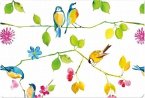 Watercolor Birds Note Cards [With 15 Envelopes]