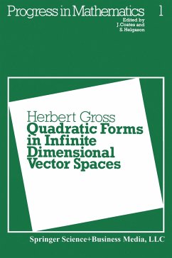 Quadratic Forms in Infinite Dimensional Vector Spaces - Gross, Herbert