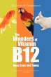 The Wonders of Vitamin B12 - Bild 1
