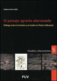 El paisaje agrario aterrazado