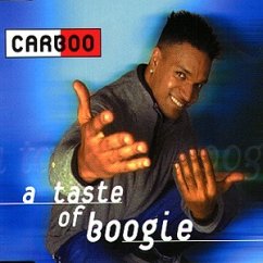 Cover A taste of boogie