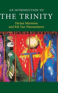 An Introduction to the Trinity - Marmion, Declan; Nieuwenhove, Rik Van