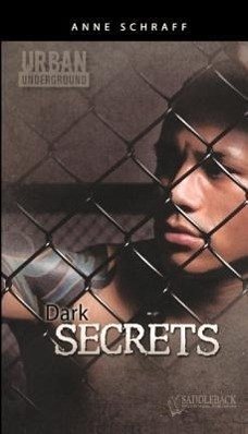 Dark Secrets - Schraff, Anne