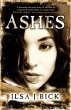 Ashes Trilogy: Ashes - Bild 1
