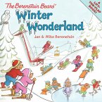 The Berenstain Bears' Winter Wonderland