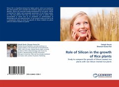 Role of Silicon in the growth of Rice plants