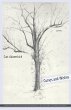 Curses and Wishes - Bild 1