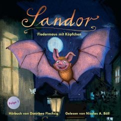 Sandor, Fledermaus mit Köpfchen - Flechsig, Dorothea