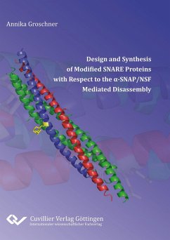 Design and Synthesis of Modified SNARE Proteins with Respect to the ¿¿SNAP/NSF Mediated Disassembly - Groschner, Annika