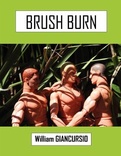 Brush Burn - Giancursio, William