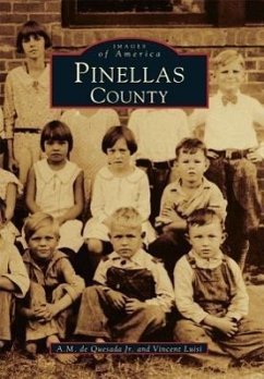 Pinellas County - De Quesada Jr, A. M.; Luisi, Vincent