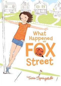 What Happened on Fox Street - Springstubb, Tricia